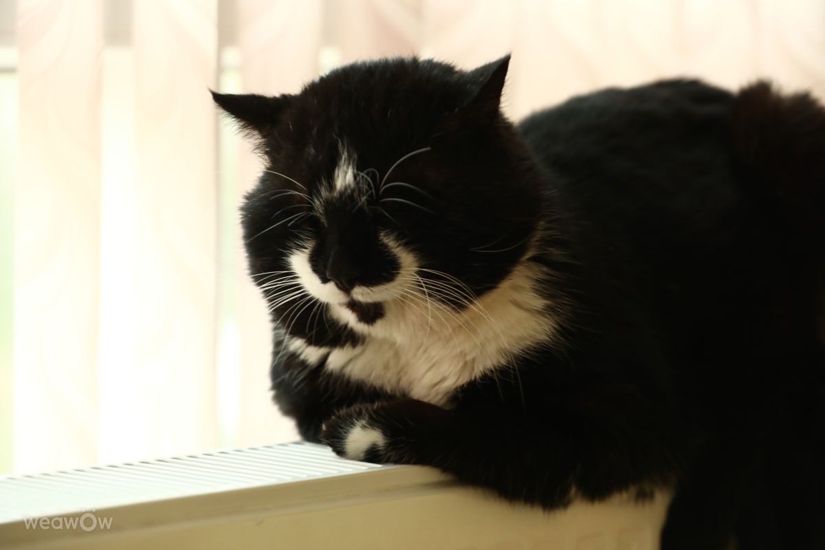 Fotos do tempo em Bulgária. Previsões do tempo com lindas fotos de Тодор Тодоров_fb1