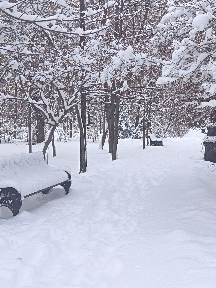 Fotos sobre el clima en Kazajstán. Pronósticos del tiempo con hermosas fotos de ЮлЯШа
