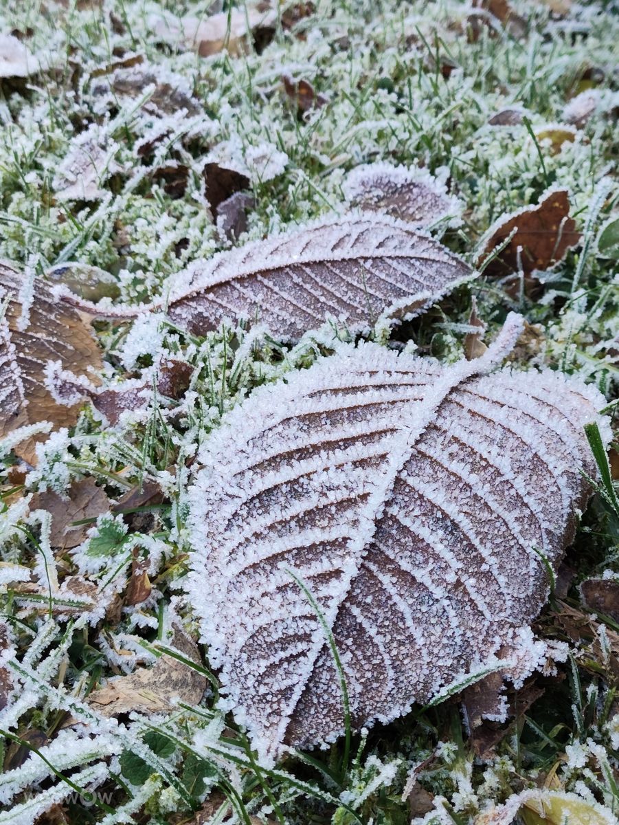 Allersberg的天气照片. 天气预报，带Brtd精美的照片