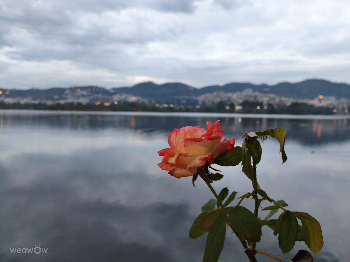 Weather forecasts with beautiful photos by marintje93
