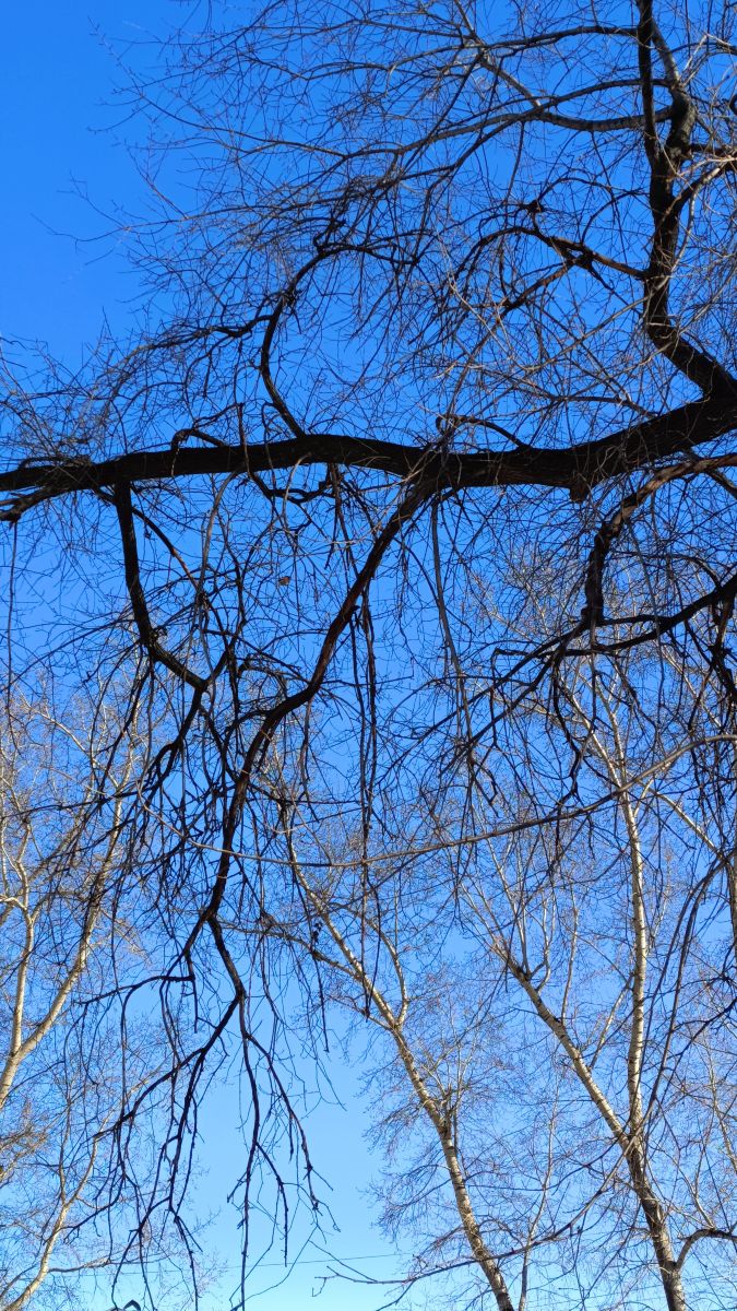 Weather forecasts with beautiful photos by Михаил Бондаренко