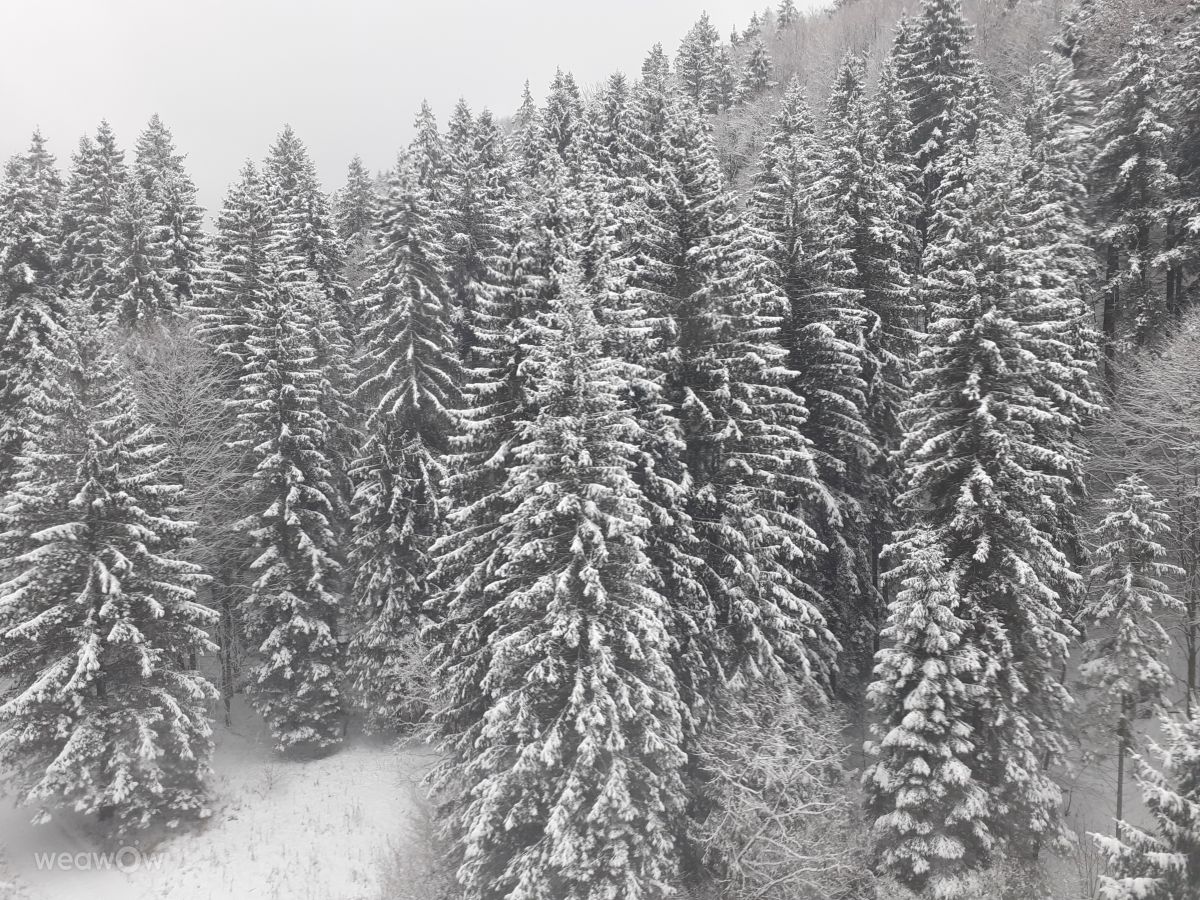 Dự báo thời tiết với những bức ảnh đẹp của Marcela Cervenakova