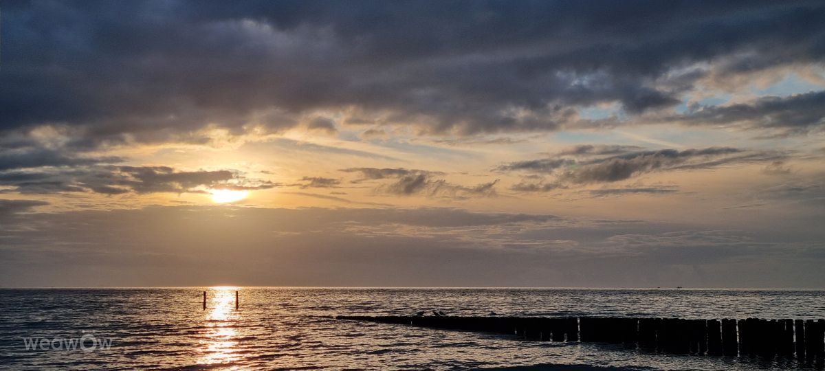 Photographer DaB, Weather Photos in Vlissingen - Weawow