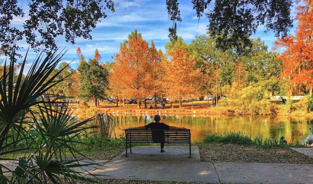Фотографии Погоды в Новый Орлеан. Прогнозы погоды с чудесными фотографиями, сделанными Dan Tan_fb1