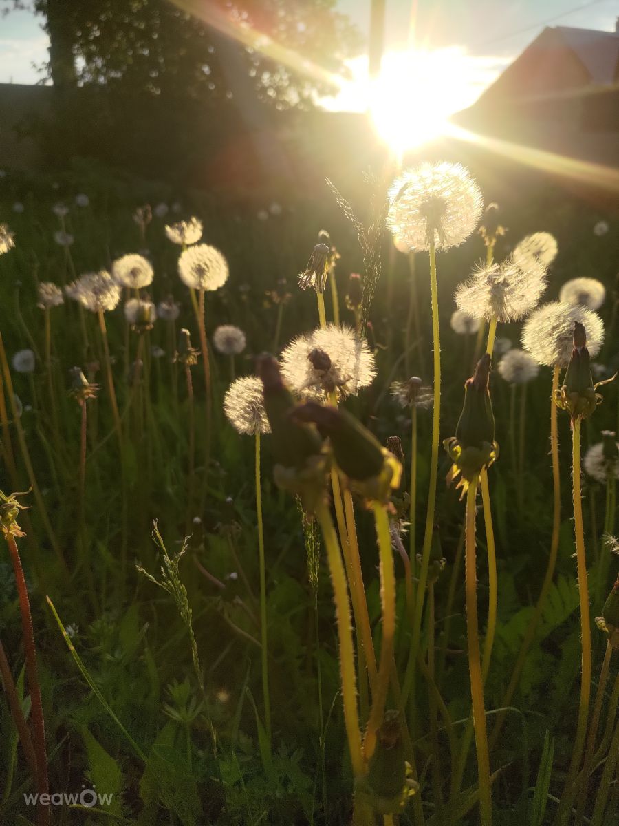 Weather Photos in Russia. Weather forecasts with beautiful photos by Lara357