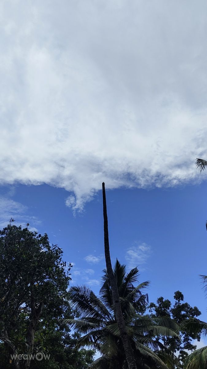 Фотографии Погоды в Керала. Прогнозы погоды с чудесными фотографиями, сделанными Vimal_Ram_S