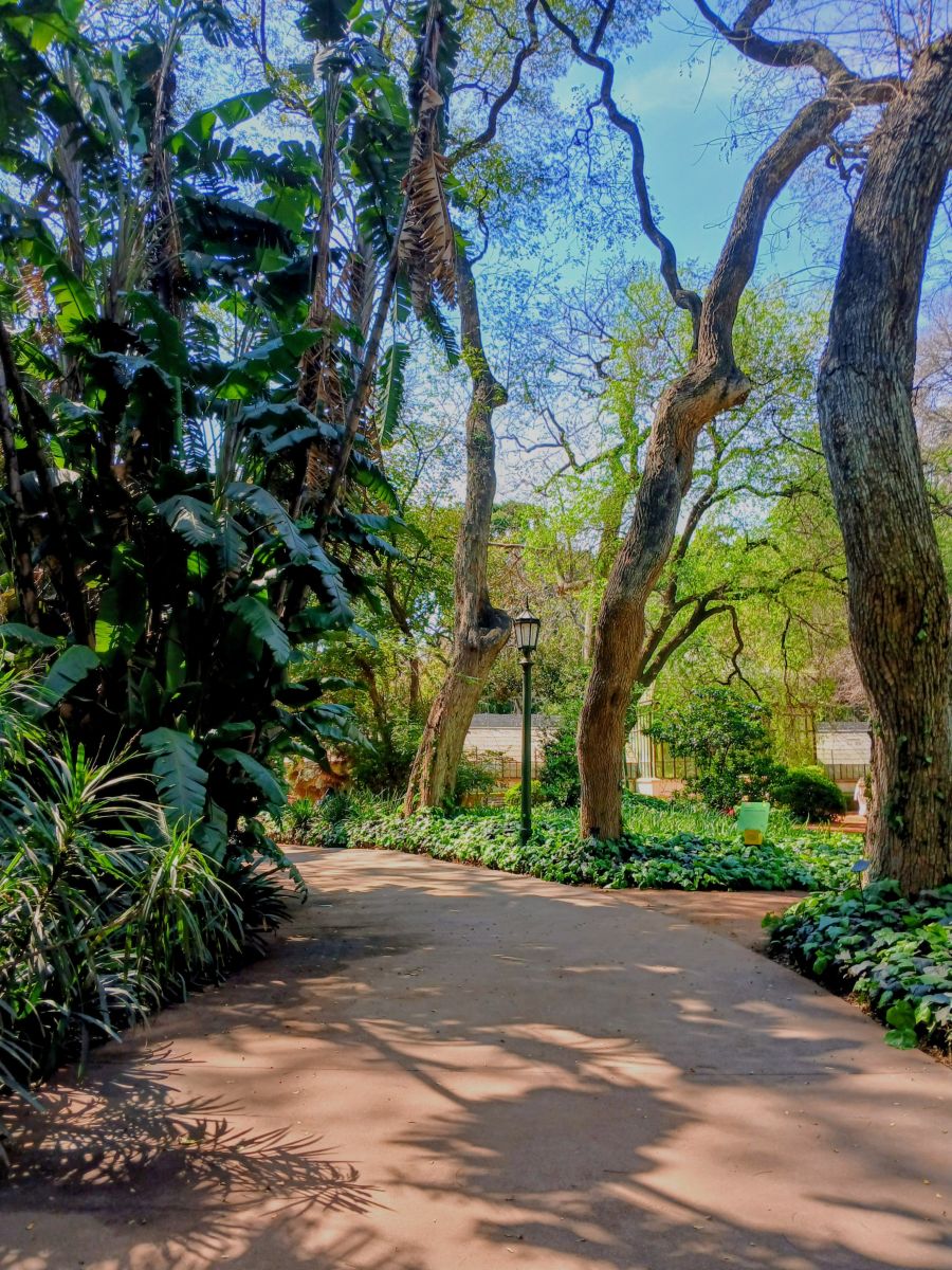 Photographer SEBASTIAN14, Weather Photos in Jardín Botánico Carlos Thays - Weawow