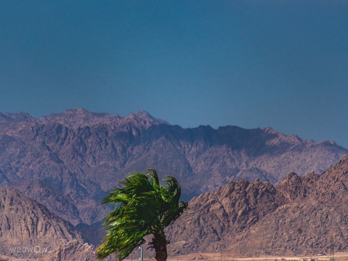 Fotos do tempo em Egito. Previsões do tempo com lindas fotos de czach