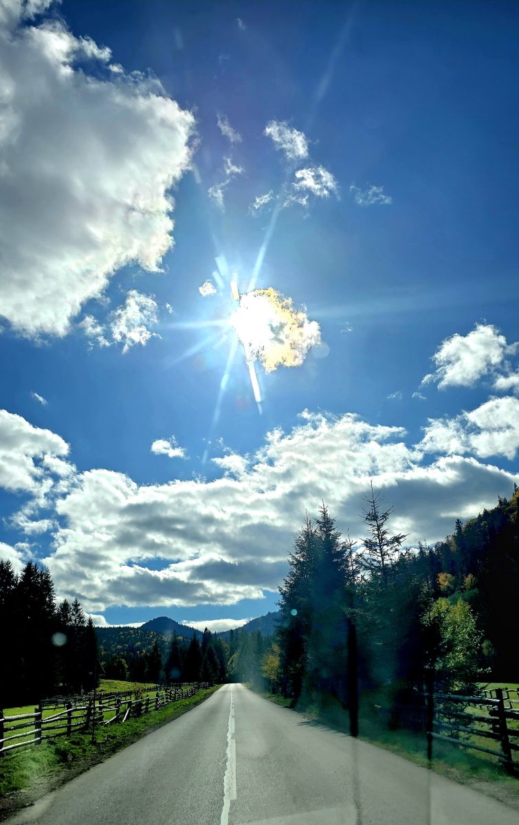 Photographer Camelyon, Weather Photos in Ostra - Weawow