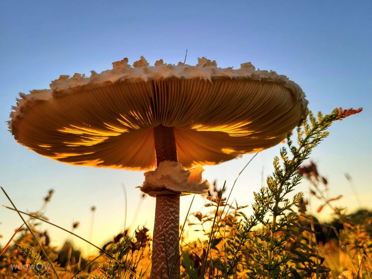Prévisions météo avec de superbes photos de hejpetrpepa