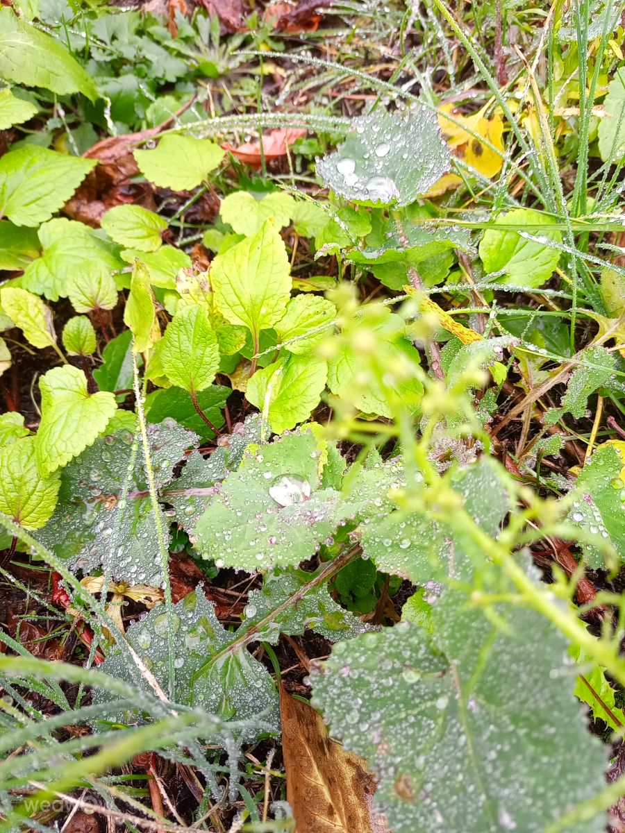 Wetter Photos Oblast Moskau. Wettervorhersagen mit schönen Fotos von Evgeniya77