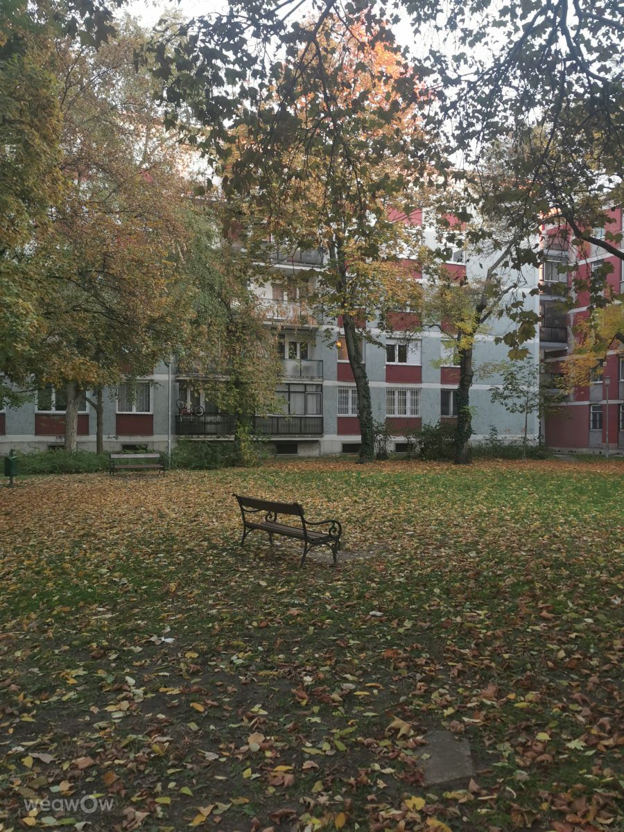Wetter Photos Budapest. Wettervorhersagen mit schönen Fotos von AttilaSzilvássy