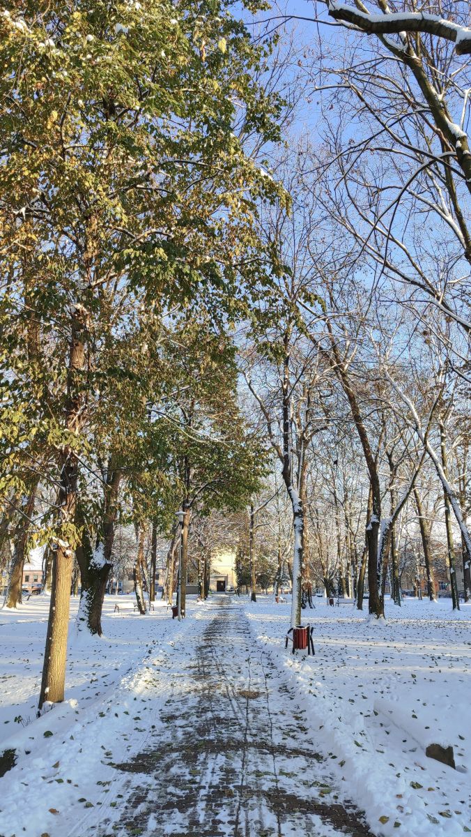 Fotógrafo Romek58, Fotos sobre el clima en Wieluń - Weawow