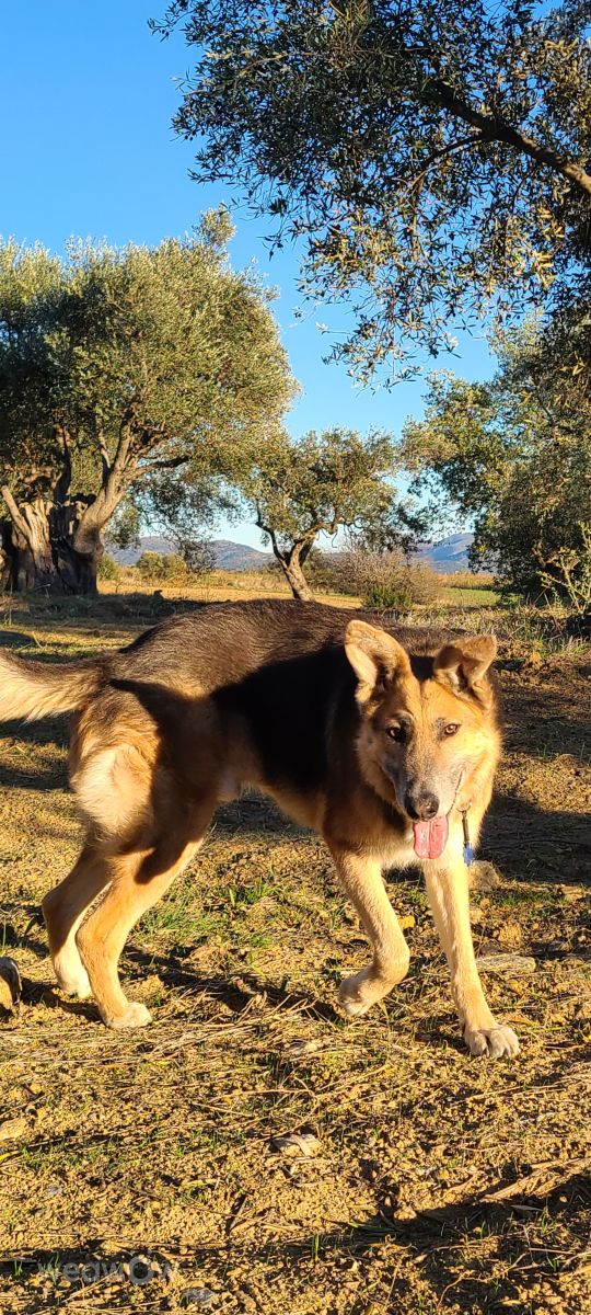 Photographer Kren66, Weather Photos in Sant Climent Sescebes - Weawow