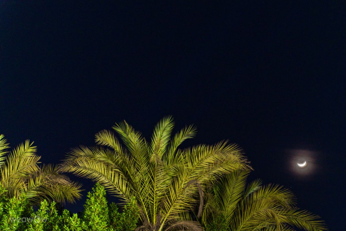 Фотографии Погоды в Египет. Прогнозы погоды с чудесными фотографиями, сделанными czach