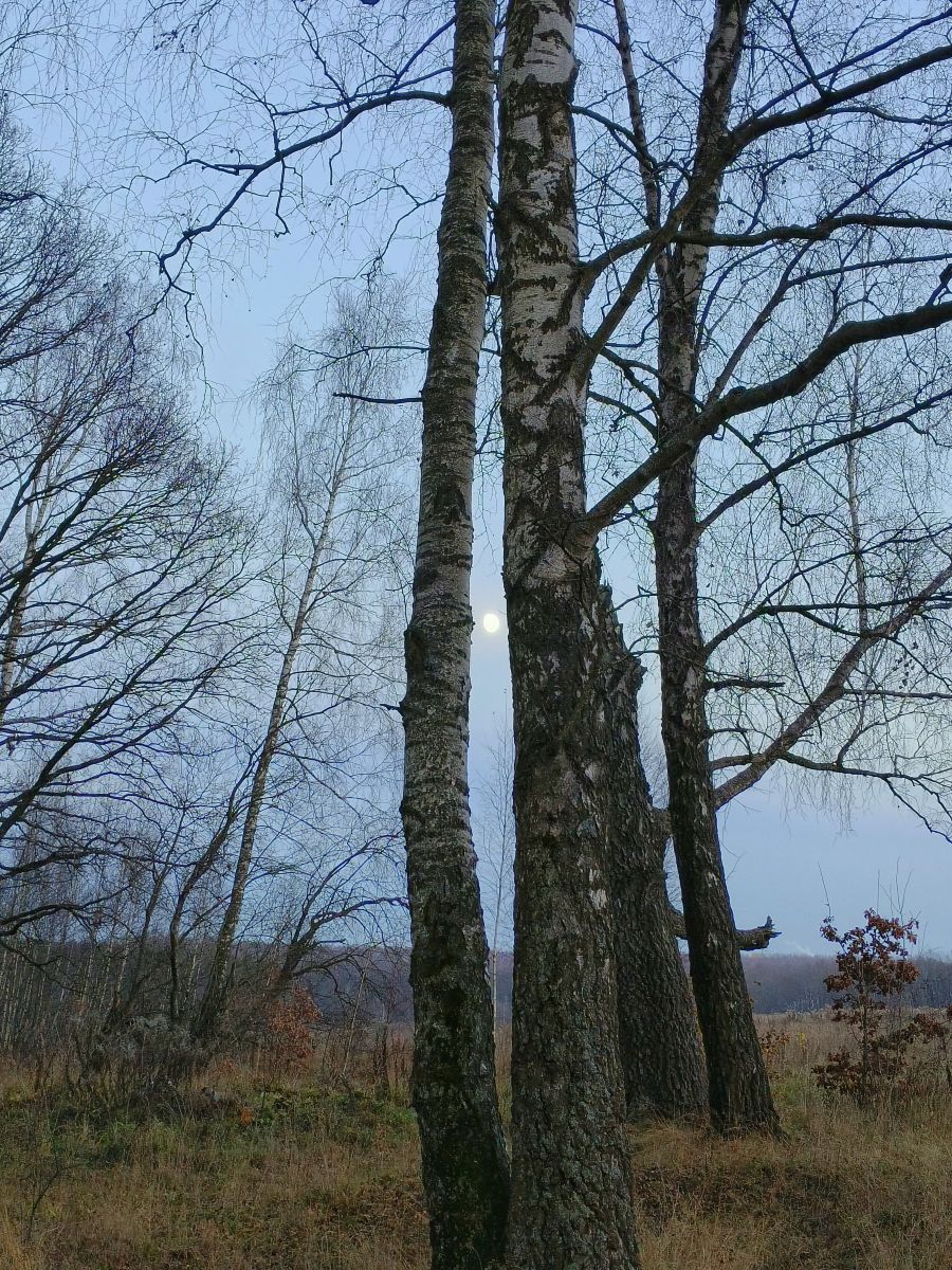 Fotos sobre el clima en Tula. Pronósticos del tiempo con hermosas fotos de Aleksei