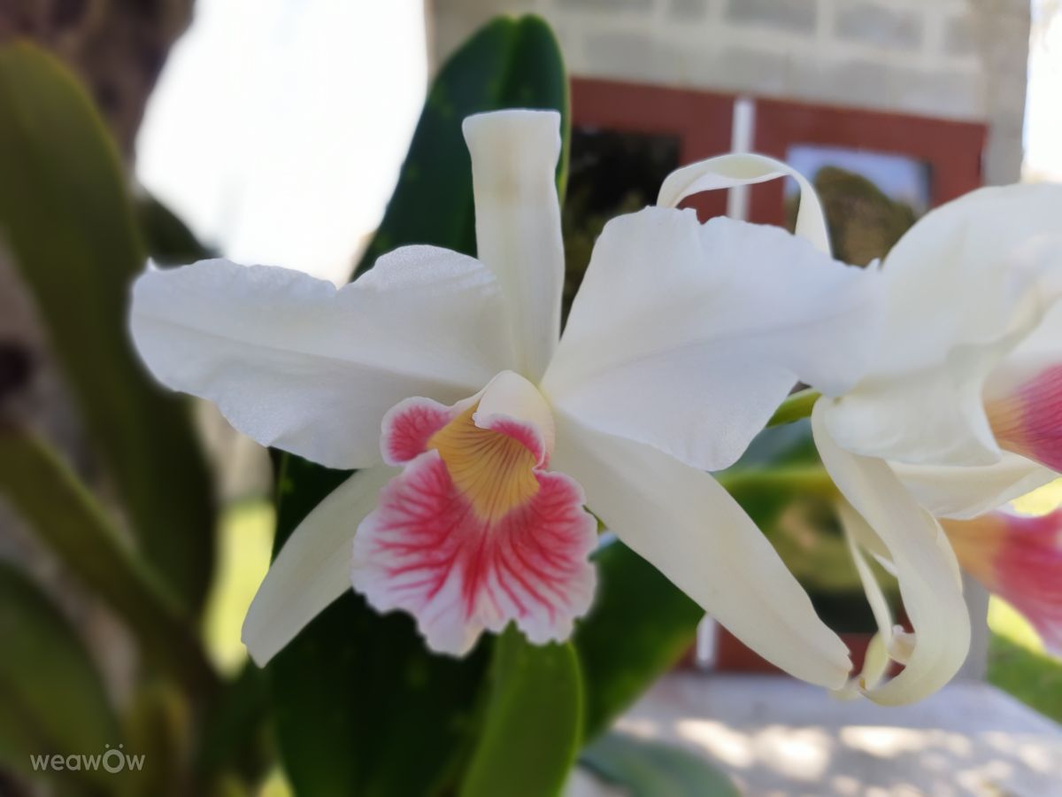 Santa Catarina的天气照片. 天气预报，带VIAꓨEM_E_HISTÓЯIA精美的照片