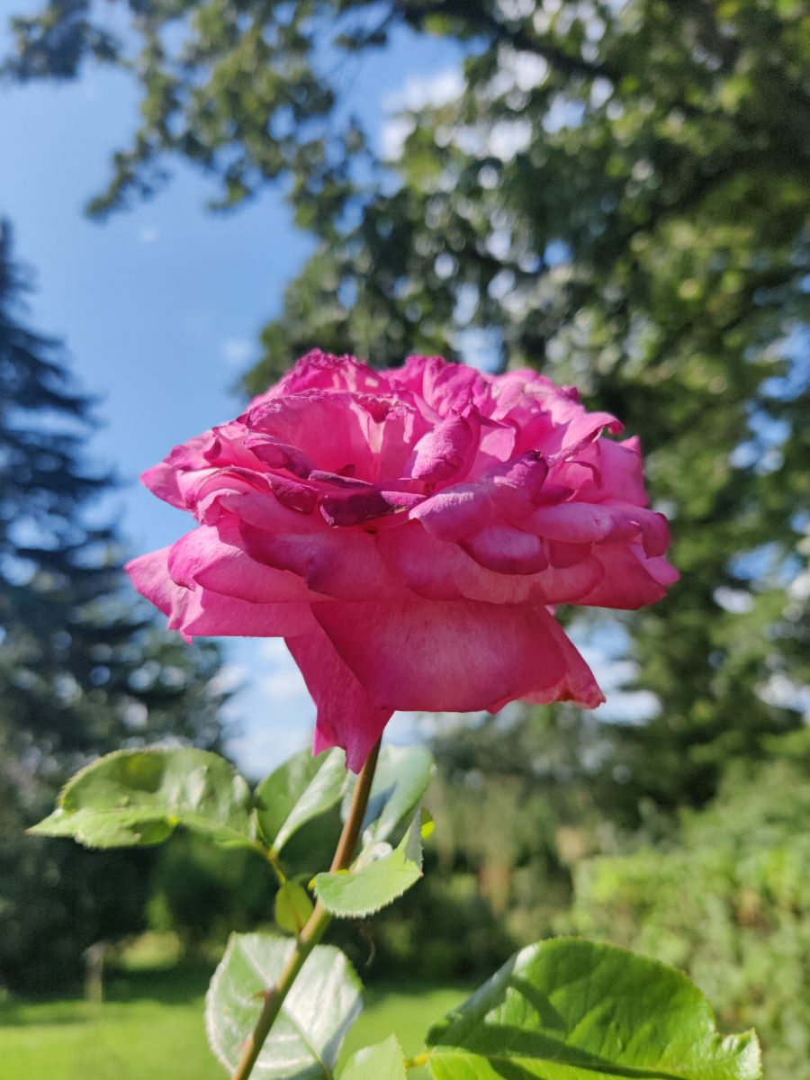 Fotografos Zorrra, Fotos do tempo em Kladow - Weawow