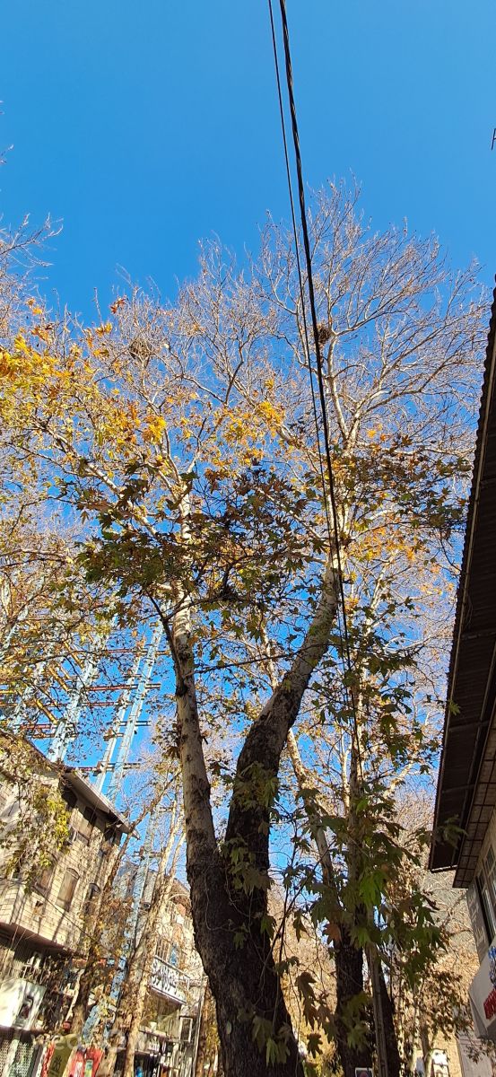 Wetter Photos Sari. Wettervorhersagen mit schönen Fotos von maziyar52