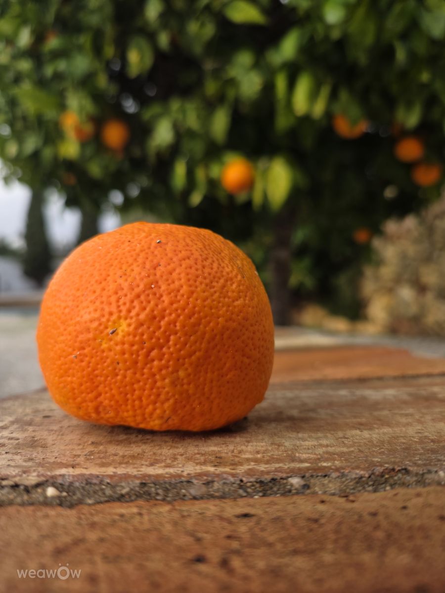 Weather forecasts with beautiful photos by Brtd