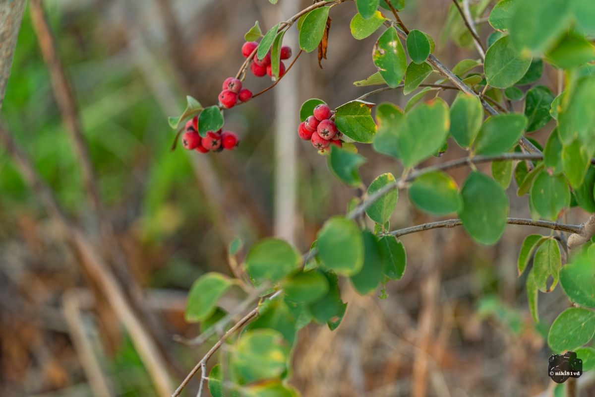 Фотографии Погоды в Пловдив. Прогнозы погоды с чудесными фотографиями, сделанными niki81vd