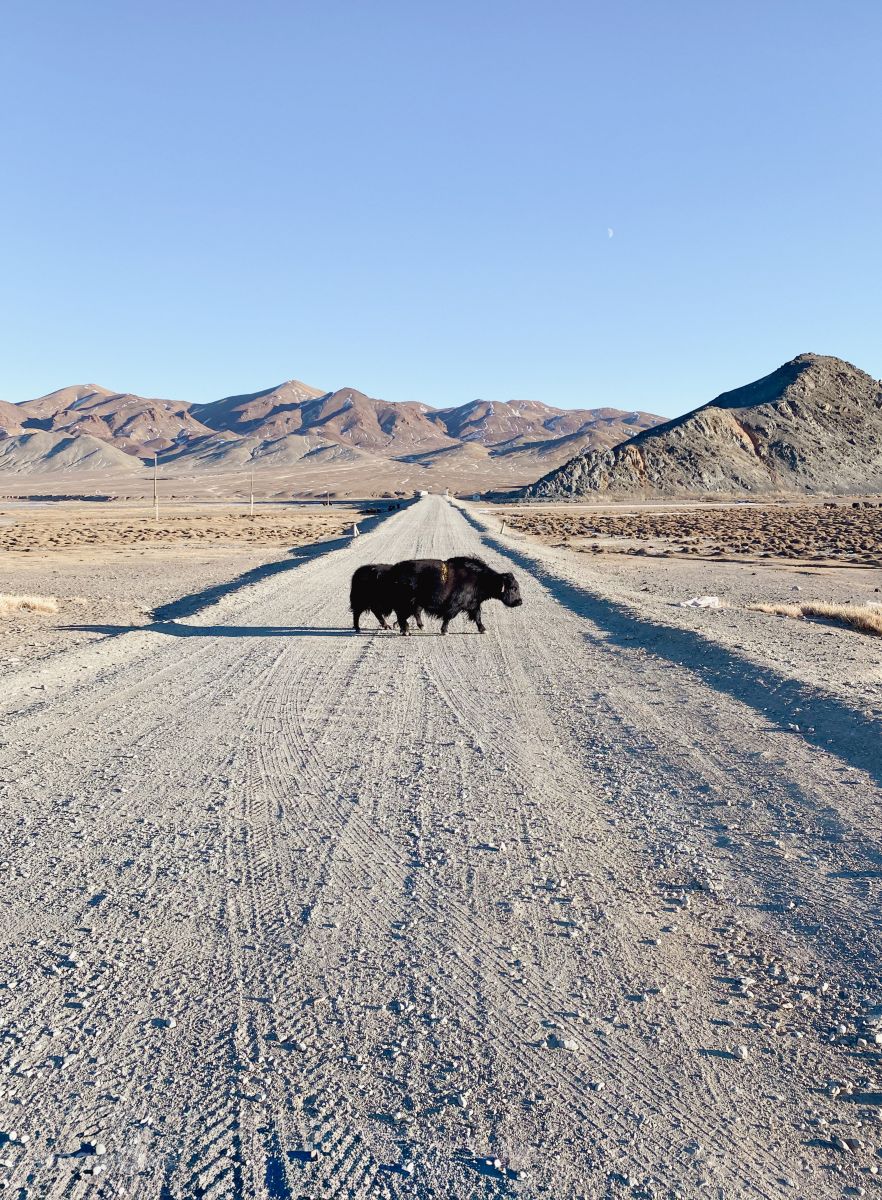Weather Photos in Mongolia. Weather forecasts with beautiful photos by mary_bell_photo