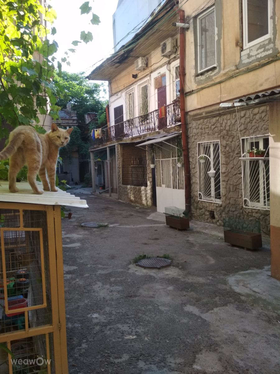 Hình ảnh Thời tiết ở Bulgaria. Dự báo thời tiết với những bức ảnh đẹp của Юрий Шорохов