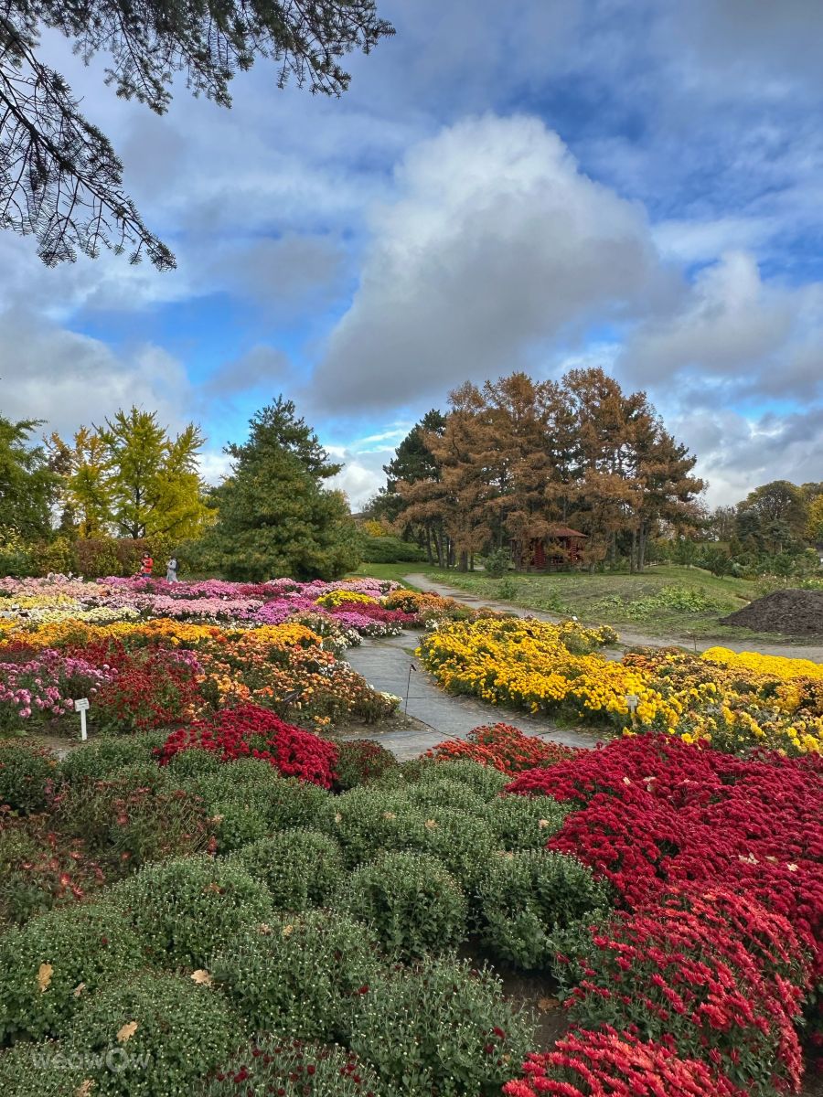 天气预报，带Інна精美的照片