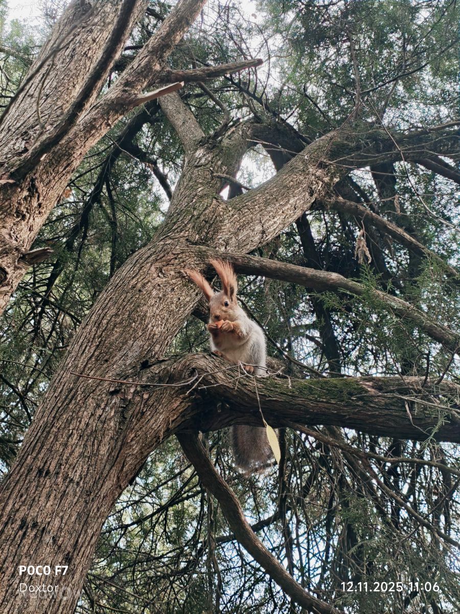 ロシアの天気写真. Doxtorの美しい写真による天気予報