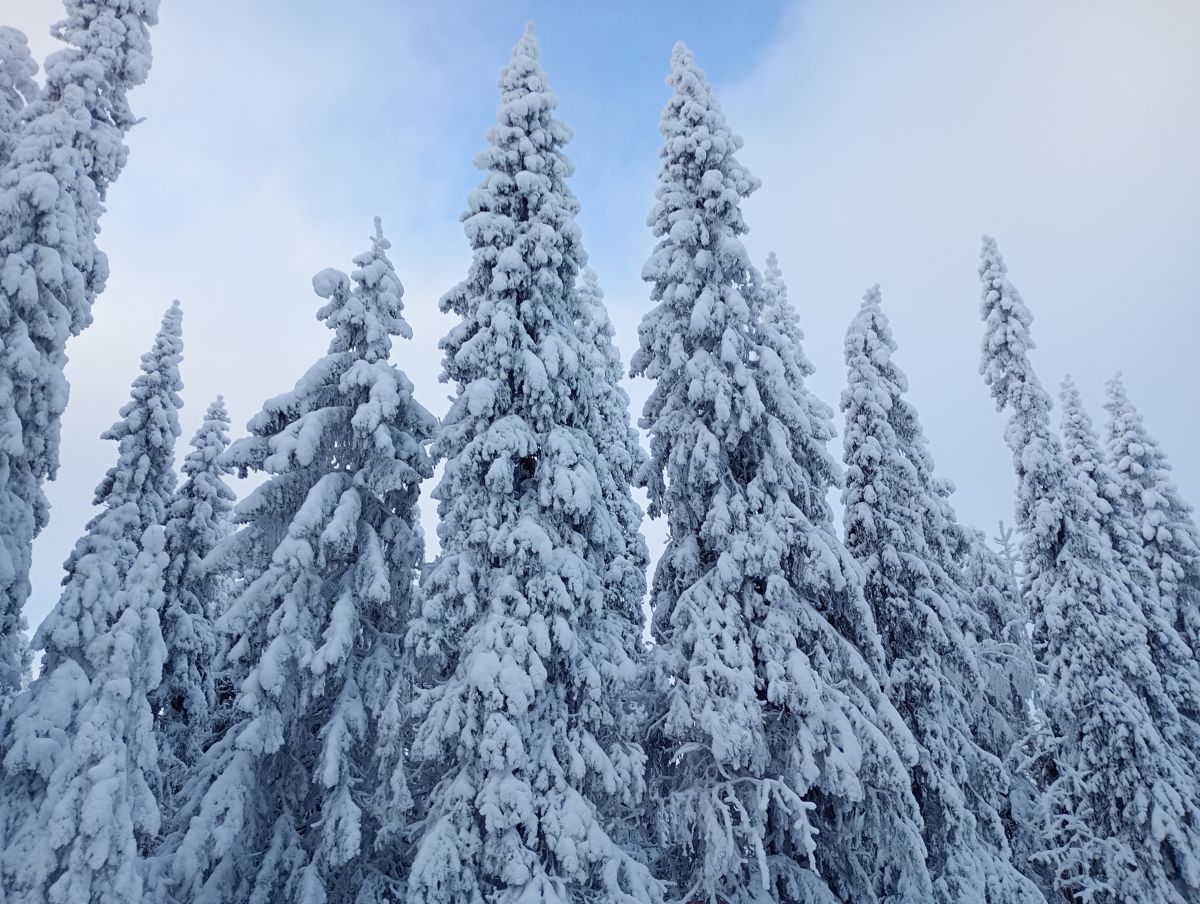 Fotos sobre el clima en Ostrobotnia del Norte. Pronósticos del tiempo con hermosas fotos de Juki