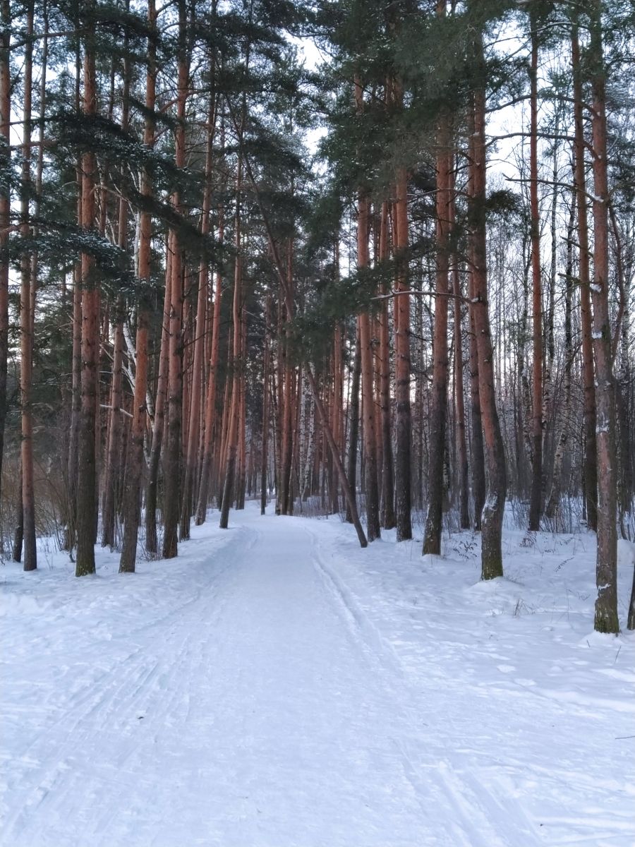 Weather Photos in St.-Petersburg. Weather forecasts with beautiful photos by Flying_Pie
