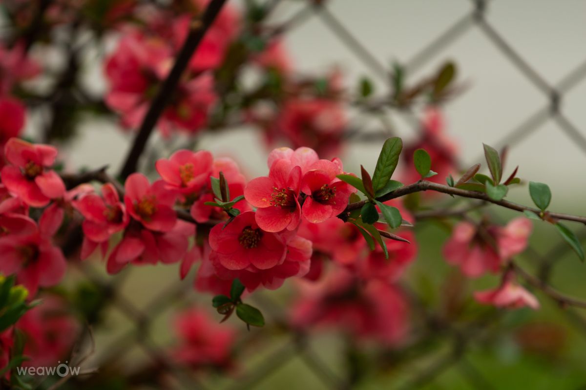 Фотографии Погоды в Варна. Прогнозы погоды с чудесными фотографиями, сделанными Тодор Тодоров_fb1