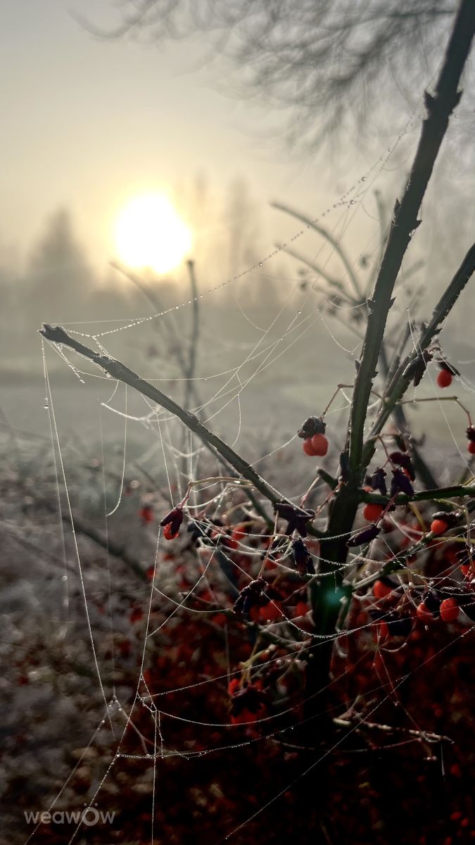 Photos météo à Teshkovo. Prévisions météo avec de superbes photos de Stassy