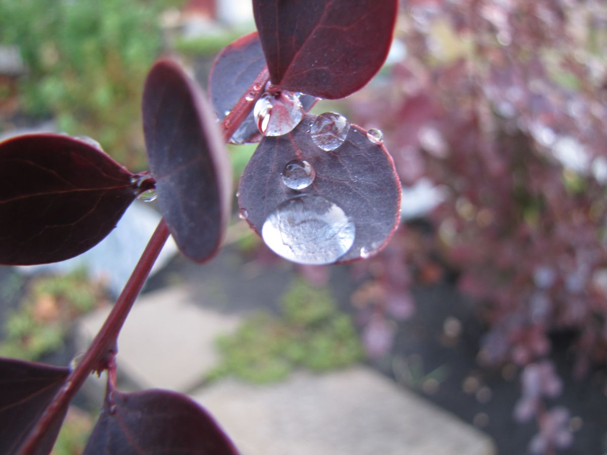 Фотографии Погоды в Белгородская Область. Прогнозы погоды с чудесными фотографиями, сделанными Sviatoslav