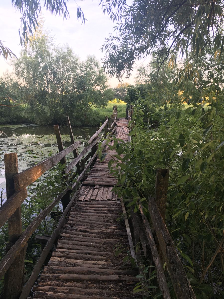 Weather Photos in Chernihiv. Weather forecasts with beautiful photos by Alexаndr