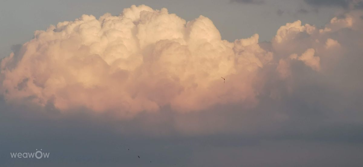 Weather Photos in Sofia-Capital. Weather forecasts with beautiful photos by Kikko
