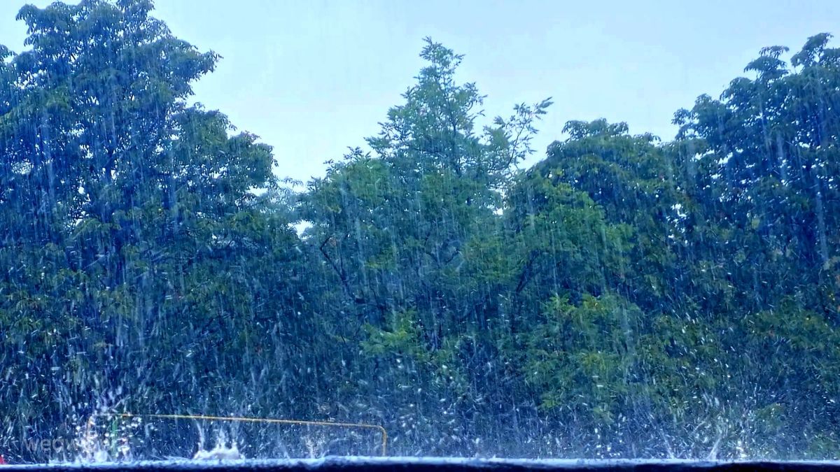 Fotos sobre el clima en Novorossiysk. Pronósticos del tiempo con hermosas fotos de Шулико