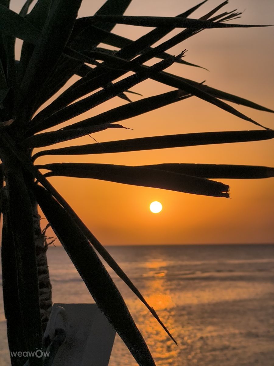 ZloBrの美しい写真による天気予報