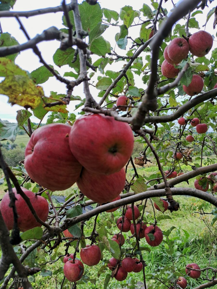 Fotos do tempo em Khmelnytskyi. Previsões do tempo com lindas fotos de urashm