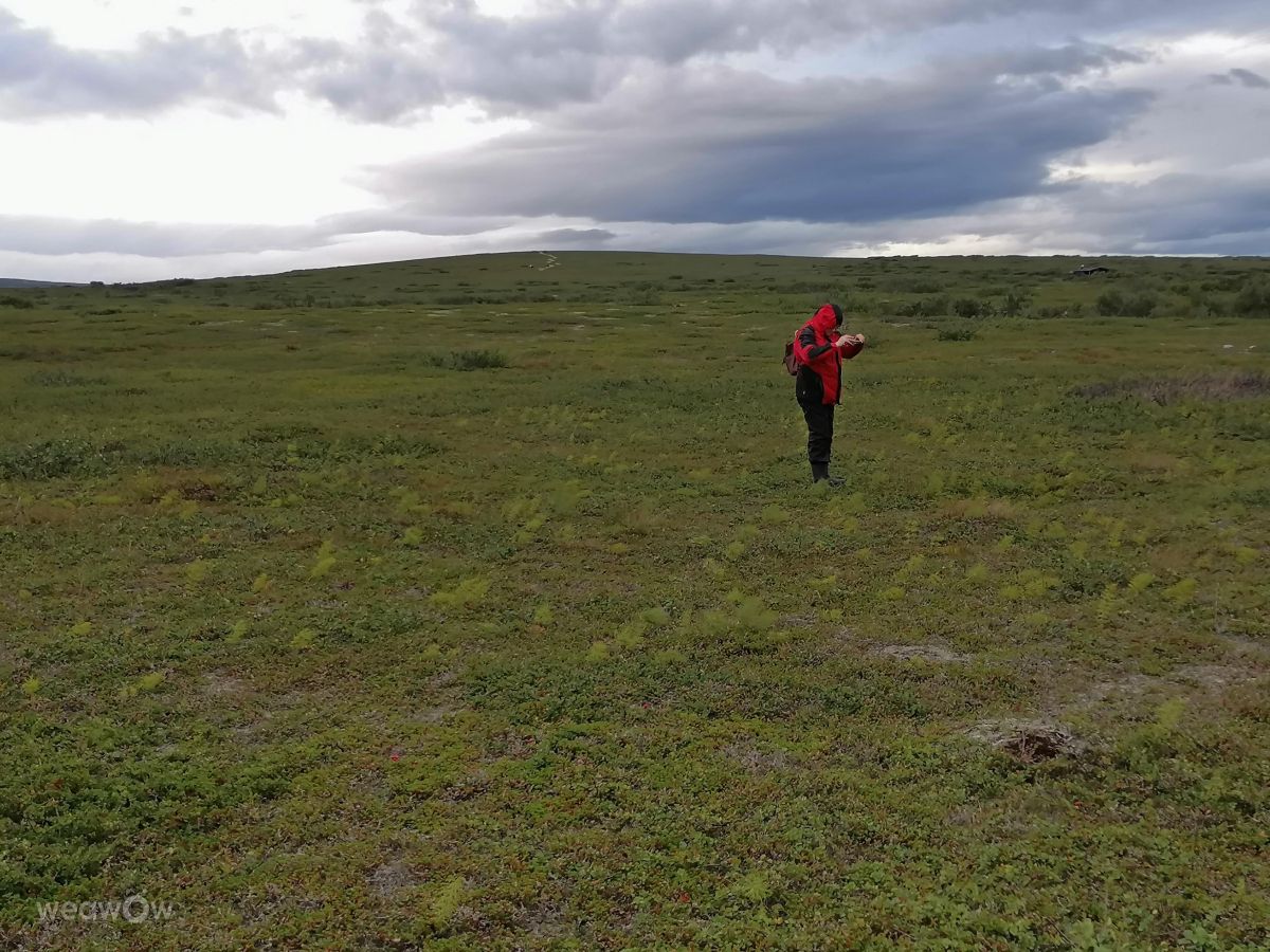 Fotos do tempo em Vadsø. Previsões do tempo com lindas fotos de Juki