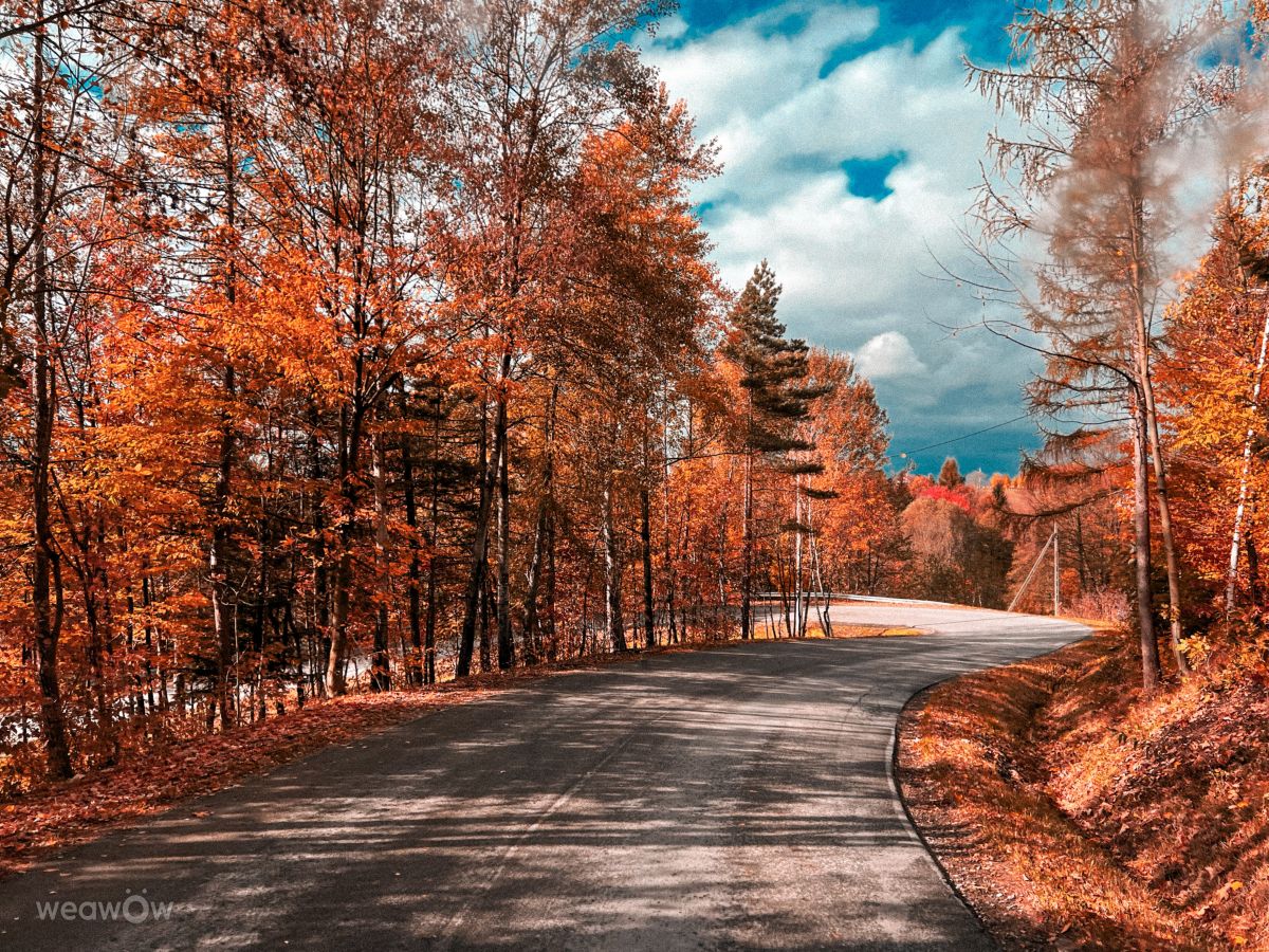 Hình ảnh Thời tiết ở Subcarpathia. Dự báo thời tiết với những bức ảnh đẹp của KAMP