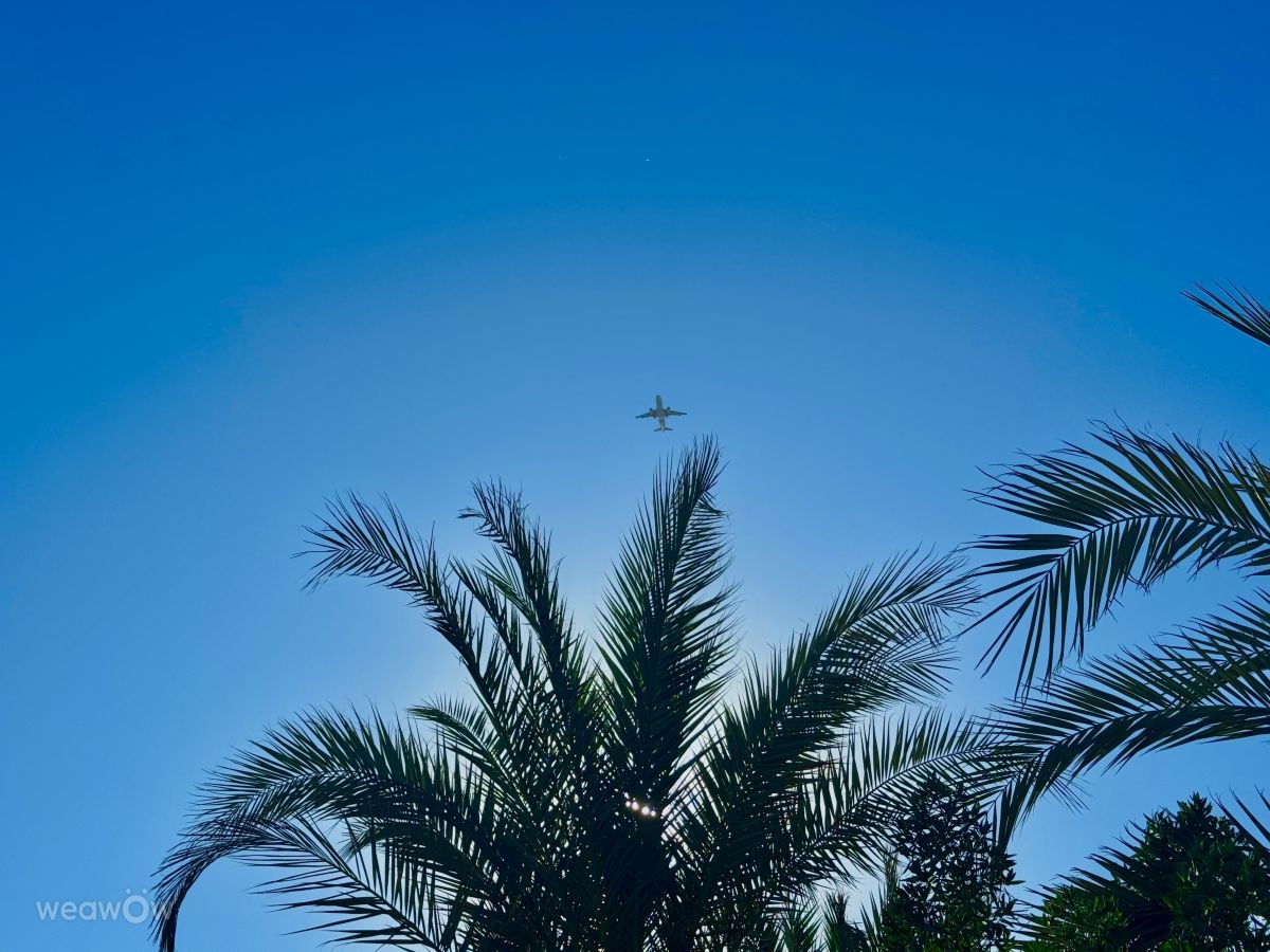 Прогнозы погоды с чудесными фотографиями, сделанными czach