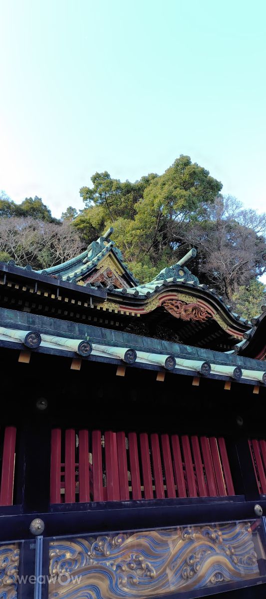 Photographer umemui, Weather Photos in Honshu - Weawow