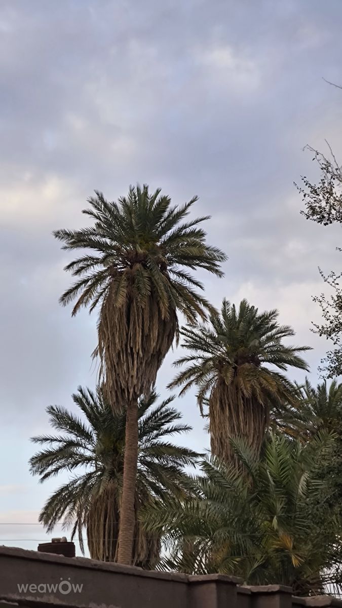 Weather Photos in Kerman. Weather forecasts with beautiful photos by Omidweawow