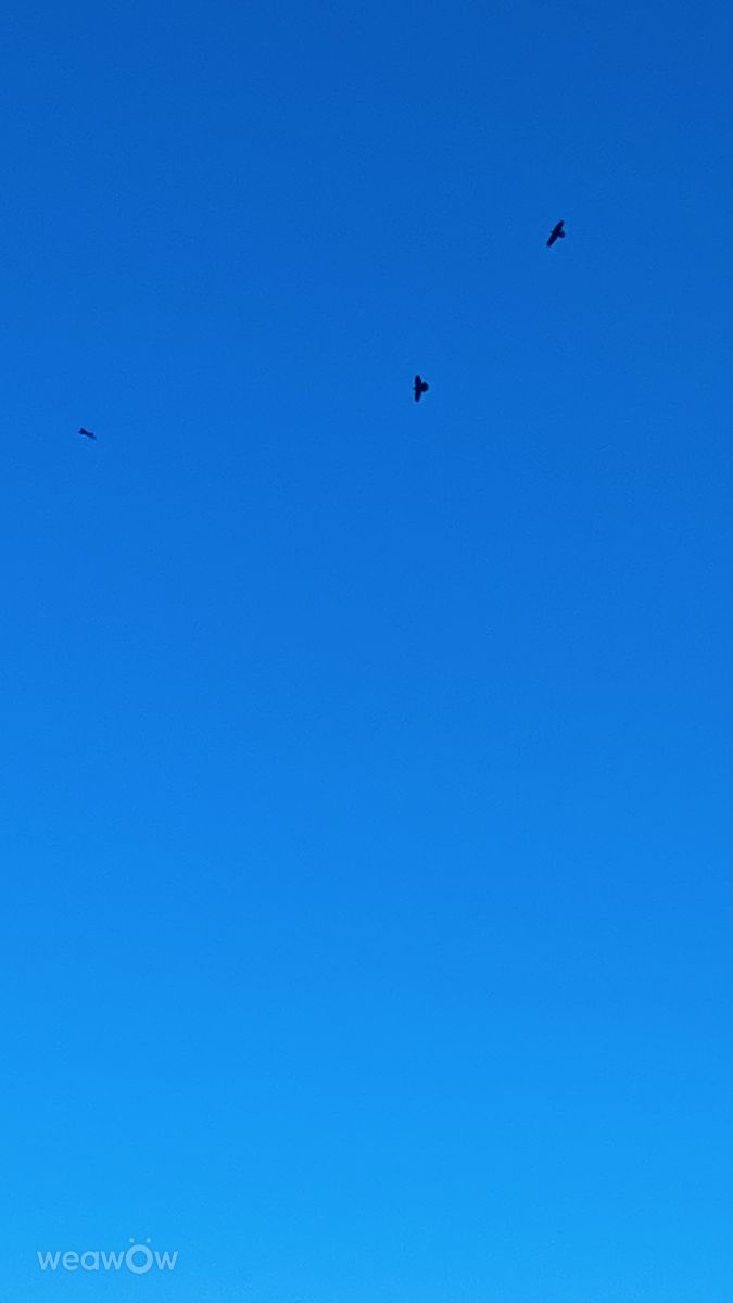 Fotógrafo Lulu5523, Fotos sobre el clima en le Plateau - Weawow