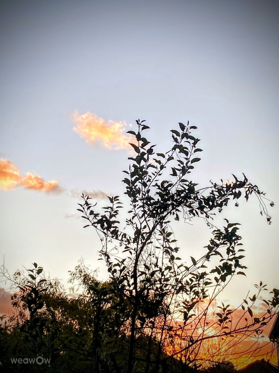 Фотограф Lulu5523, Фотографии Погоды в le Plateau - Weawow