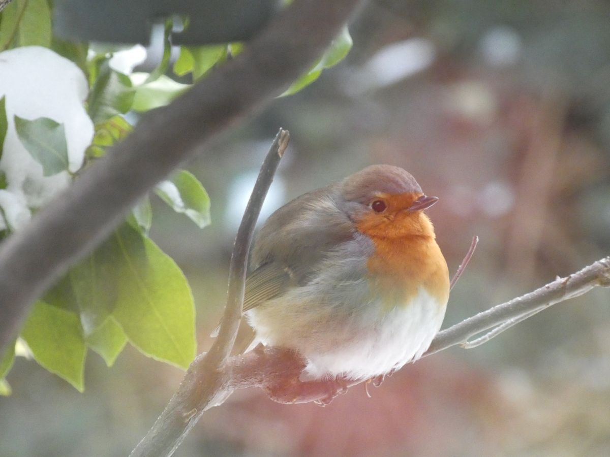 Фотографии Погоды в Нижняя Саксония. Прогнозы погоды с чудесными фотографиями, сделанными fwerner
