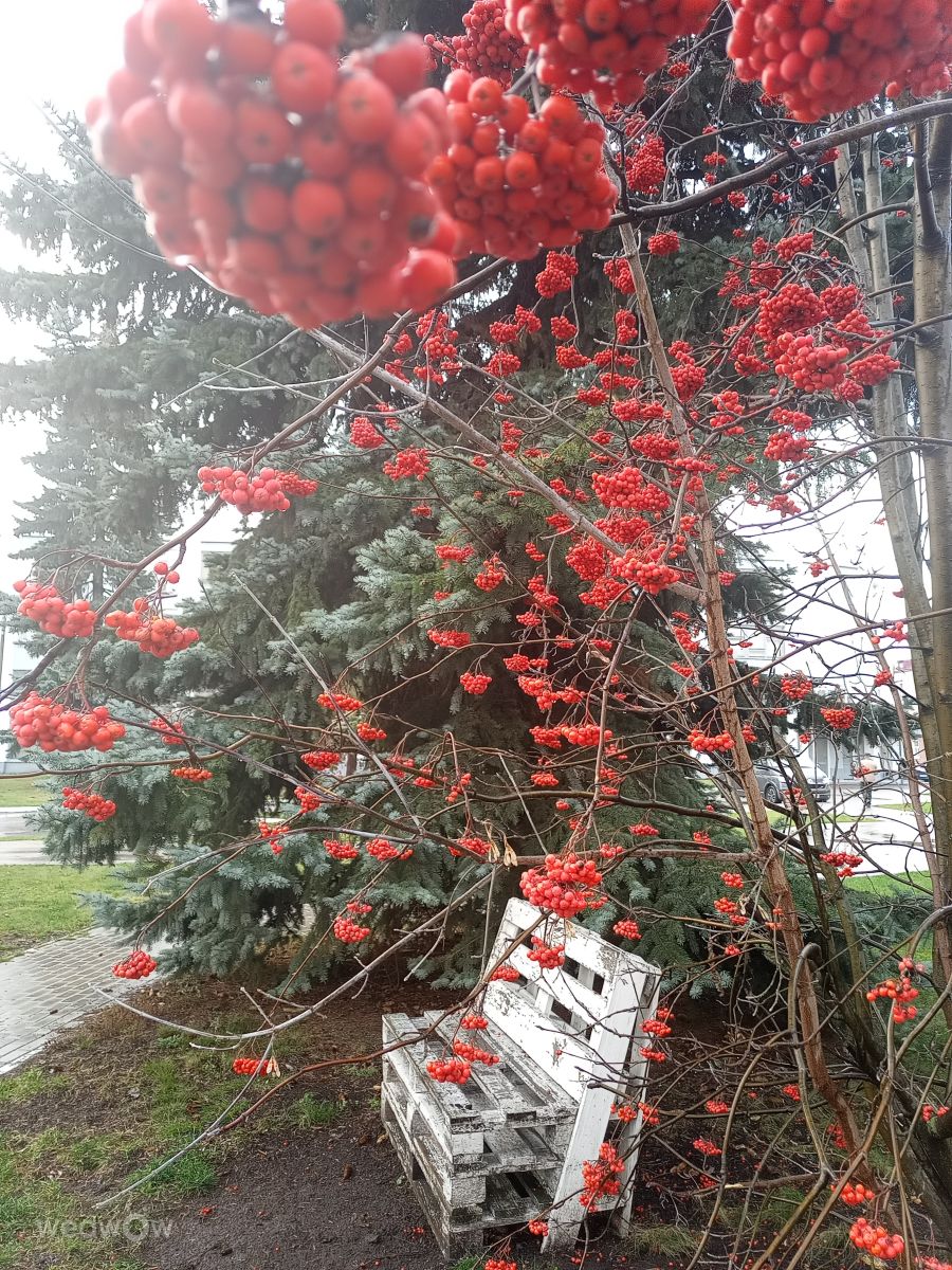 Wetter Photos Oblast Moskau. Wettervorhersagen mit schönen Fotos von Evgeniya77