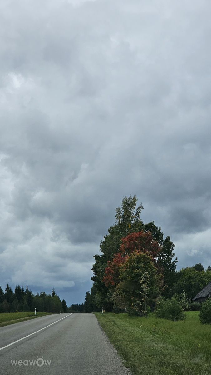 Weather Photos in Ogre. Weather forecasts with beautiful photos by Sandra Bokisha