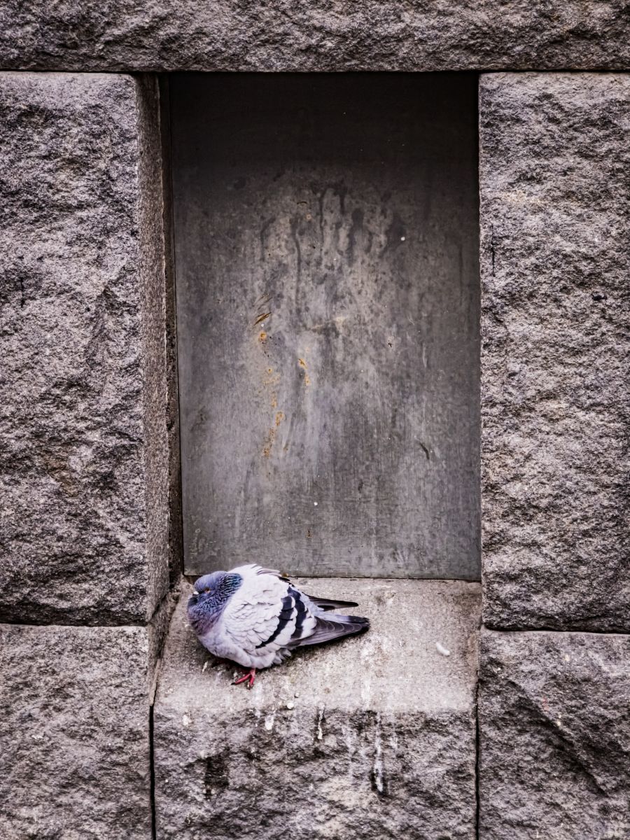 Photos météo à Finlande. Prévisions météo avec de superbes photos de Александр Васильевич